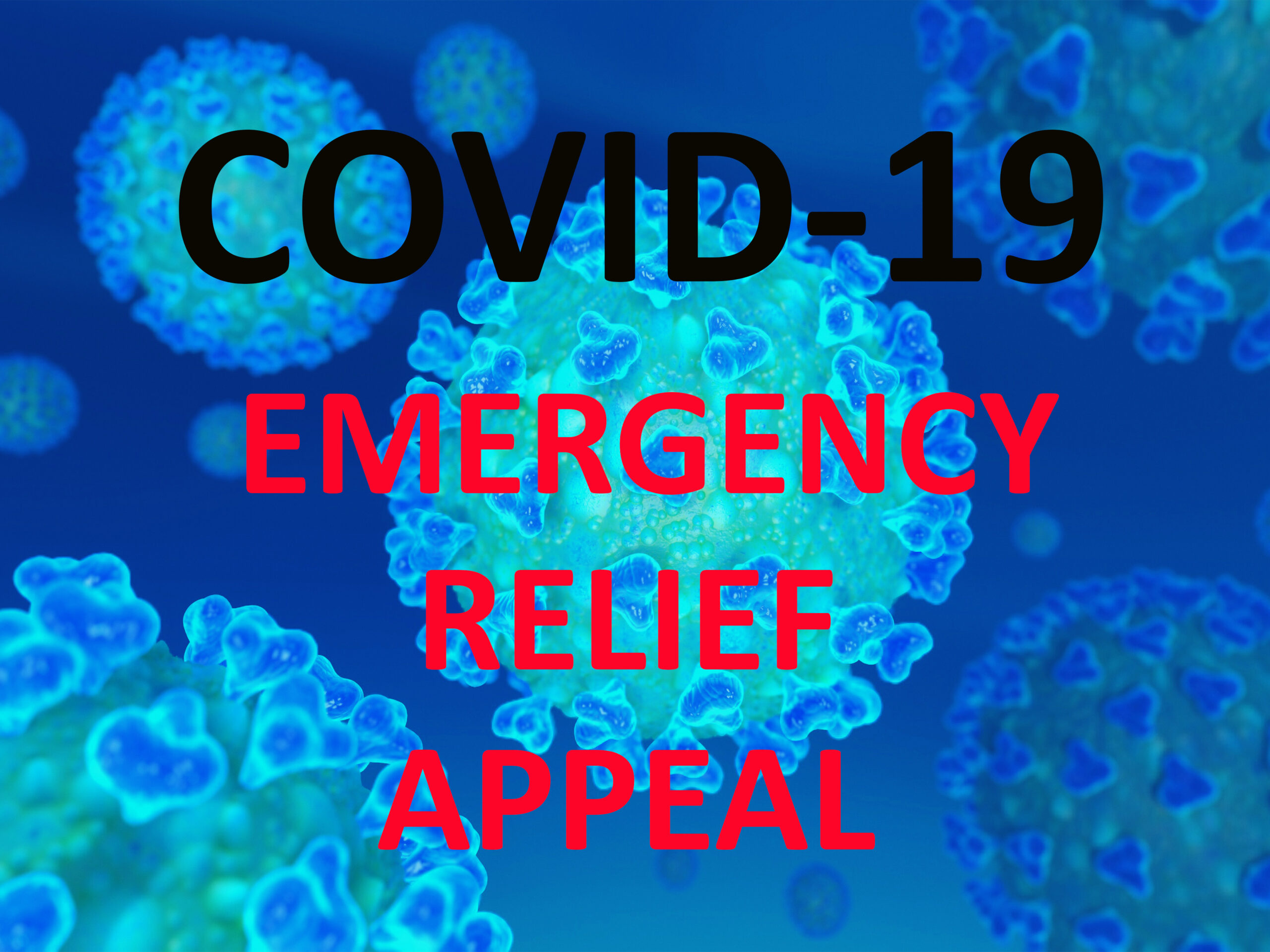 Covid19ProjectSize